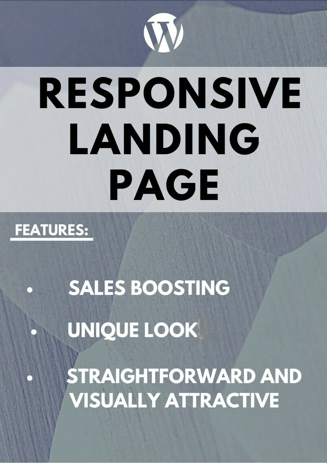 Professional Landing Page Development And Design