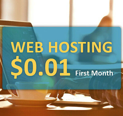 WEBfundament.com Service - 1-year unlimited hosting with cPanel and Softaculous